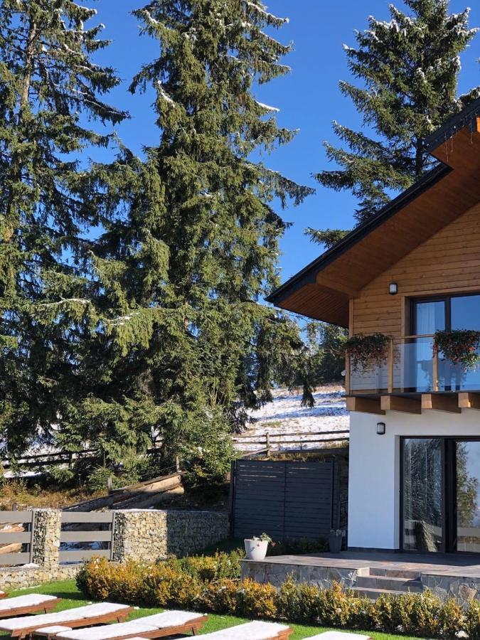 Gogodz Chalet Resort 야블루니츠야 외부 사진