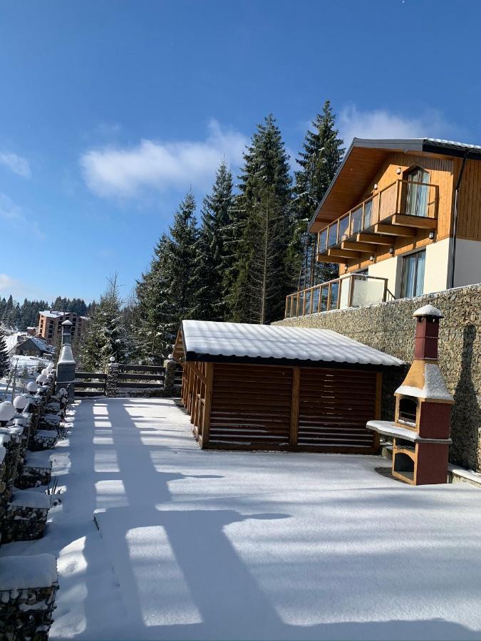 Gogodz Chalet Resort 야블루니츠야 외부 사진