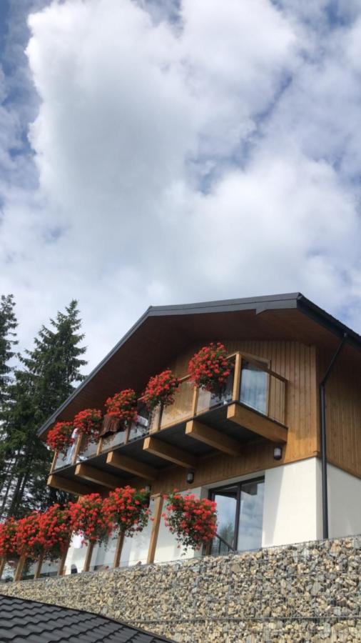 Gogodz Chalet Resort 야블루니츠야 외부 사진