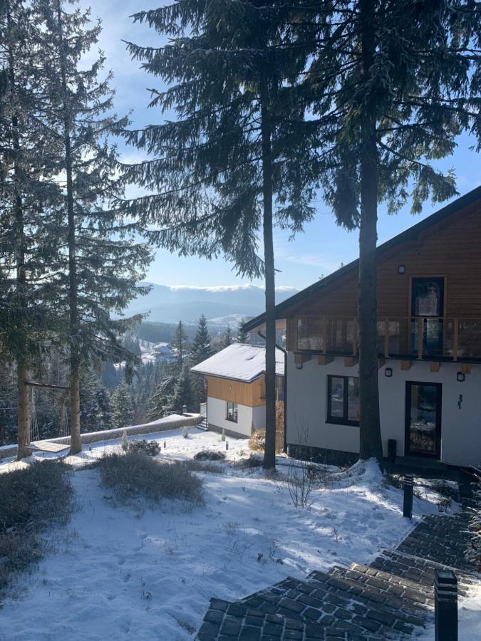 Gogodz Chalet Resort 야블루니츠야 외부 사진