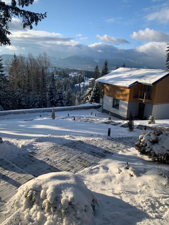 Gogodz Chalet Resort 야블루니츠야 외부 사진