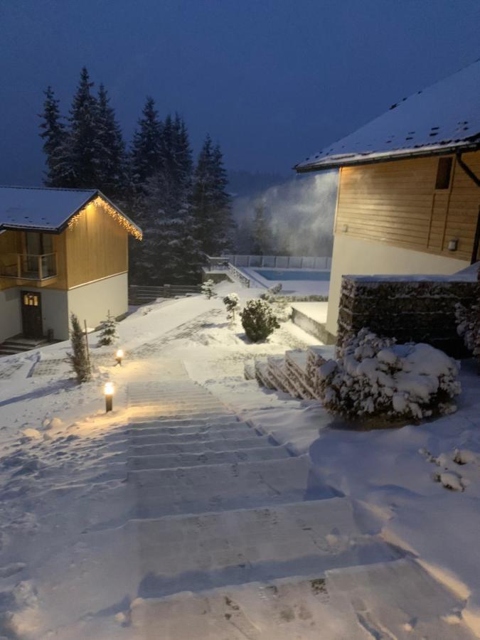 Gogodz Chalet Resort 야블루니츠야 외부 사진
